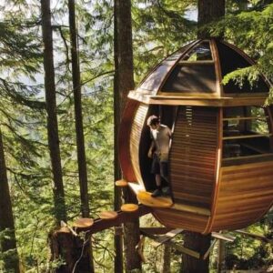 Một vài mẫu nhà gỗ treeshouse